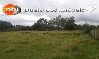 Imagem 6: Próximo a Cidade Área de Terra 3.5 hectares Zona Rural Glorinha, RS