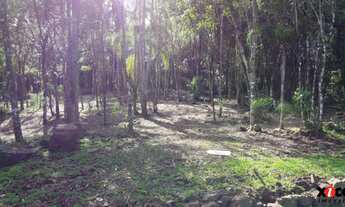 Imagem 2: Sítio / Chácara para Venda em Nova Petrópolis, São Jacó