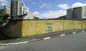 Imagem 2: Terreno residencial à venda, Jardim Avelino, São Paulo