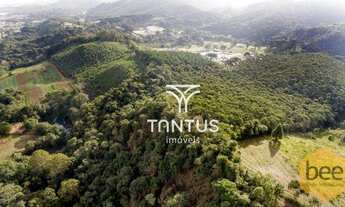 Imagem 4: Área à venda, 76040 m² por R$ 1.700.000,00 - Mato Dentro - Almirante Tamandaré/PR