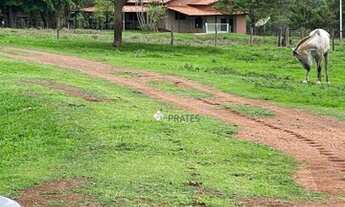 Imagem 7: Fazenda à venda, 6001600 m² por R$ 24.800.000,00 - Centro - Iturama/MG