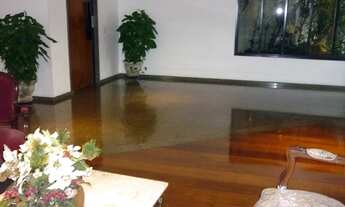 Imagem 6: São Paulo - Apartamento Padrão - IPIRANGA