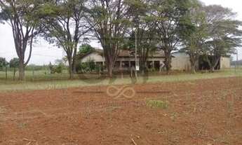 Imagem 7: Sítio Rural à venda, Área Rural de Limeira, Limeira - SI0146