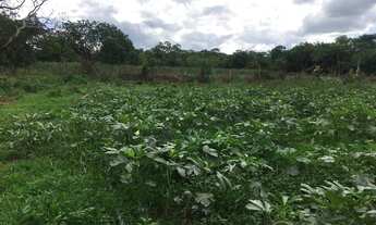 Imagem 6: Sítio/Chácara com poço artesiano e excelente topografia!!!