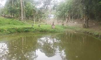 Imagem 4: Linda Chácara em Paranagua troco casa ou apartamento