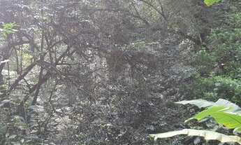 Imagem 6: Terreno Praia do Guaecá - São Sebastião (Litoral Norte