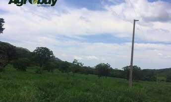 Imagem: Fazenda localizada no município de São