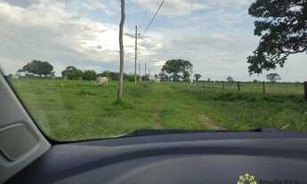 Imagem 2: Fazenda aberta à venda, 1.450 Hectares em Pium do Tocantins
