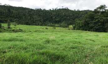 Imagem: Sítio 80 Alqueires Ji - Paraná