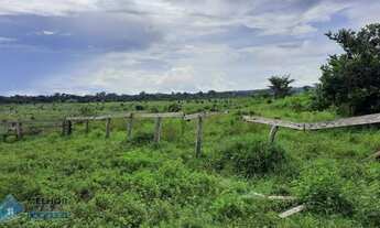 Imagem 5: Fazenda 150 alqueires Região de Ariquemes