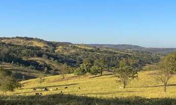 Imagem 2: Município de Piracanjuba GO porém fica a somente 18 km de Bela Vista de Goiás