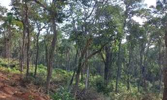 Imagem 4: 23 Lotes de 1000m² em Ibiúna-SP - Campo Verde 1QQVNVD