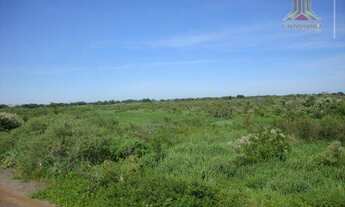 Imagem 6: Área junto a BR448 , Rodovia do Parque, com 247,50 m de frente a rodovia