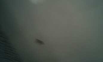 Imagem 4: Casa para venda tem 60 metros quadrados com 2 quartos