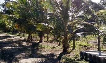 Imagem 7: Fazenda Produtiva, Escriturada e sem Débitos