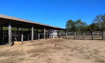 Imagem 6: OTIMA FAZENDA EM CAPOS DE JULIO