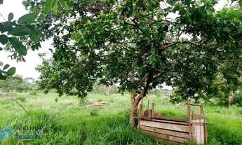 Imagem 6: Sítio 30 alqueires Jaru