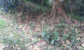 Imagem 9: Terreno à venda, 301 m² por R$ 170.000,00 - Várzea das Moças - Niterói/RJ