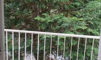 Imagem 3: Apartamento para aluguel com 50 metros quadrados com 2 quartos em Saúde - São Paulo - SP