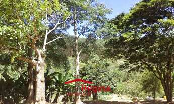 Imagem 3: SÍTIO PARA VENDER EM CAÇAPAVA