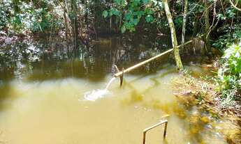 Imagem 2: Sítio a Venda em Domingos Martins