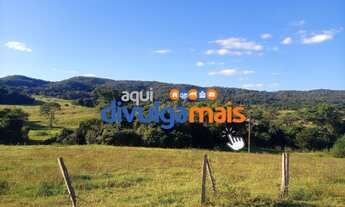 Imagem 3: Fazenda a venda de 47 alqueires na região de Morrinhos GO