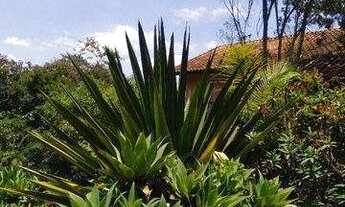 Imagem 4: Sobrado com 3 dormitórios à venda, 234 m² por R$ 850.000,00 - Parque Petrópolis - Mairipor