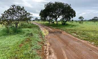 Imagem 5: Fazenda à venda, 127 Hectares em Paraíso do Tocantins
