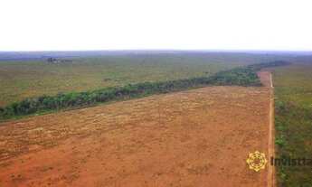 Imagem 7: Fazenda à venda 850 Ha - Presidente Kennedy/TO