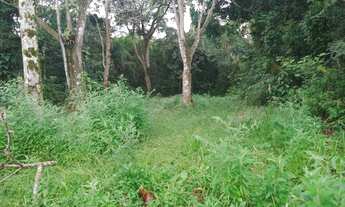 Imagem 3: Lote/Terreno para venda possui 395 metros quadrados com 5 quartos em Nova Peruíbe - Peruíb