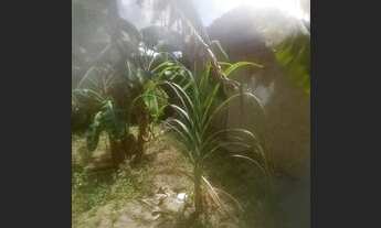 Imagem 6: Casa com ponto comercial no Centro do conde João Pessoa