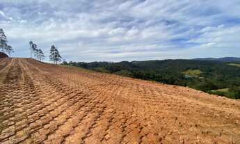 Imagem 2: FX-Invista ou venha morar! (Nazaré Paulista) 8DFHG9