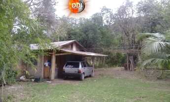 Imagem 7: Mas bah tchê!!! Excelente Sitio 1 hectares em Santo Antonio da Patrulha, RS