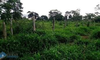 Imagem 7: Sítio 30 alqueires Jaru