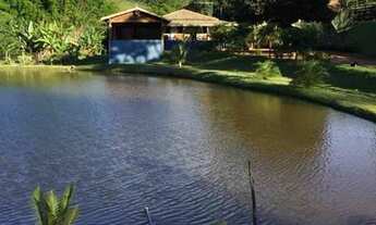Imagem 4: Fazenda/Sítio/Chácara para venda tem 1200 metros quadrados com 5 quartos