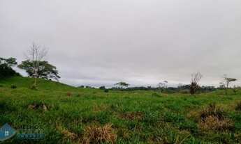 Imagem 5: Sítio 42 alqueires Jaru