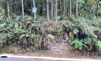 Imagem 3: CANELA - Terreno Padrão - Santa Terezinha