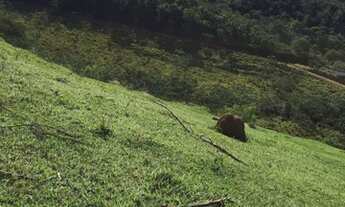 Imagem 4: Venha conquistar o seu terreno sem burocracia. Igaratá