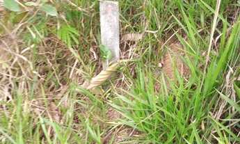 Imagem 6: Terreno à venda, 250 m² por R$ 59.000 - Jardim Alegria - Francisco Morato/São Paulo