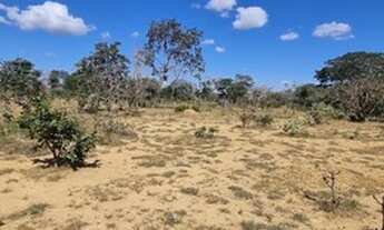 Imagem 5: FAZENDA DE 2.230 HECTARES PARA IRRIGAÇÃO EM SÃO ROMÃO - MG