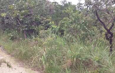 Imagem 2: Fazenda/Sítio/Chácara para venda tem 242500 metros quadrados em Setor Central - Cromínia