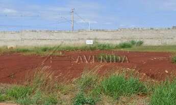 Imagem 3: LONDRINA - Terreno Padrão - Gleba Simon Frazer
