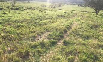 Imagem 4: W36-Venha conhecer esse novo sucesso de vendas