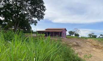 Imagem: Fazenda em Palmeiropolis-TO. 60 mil por