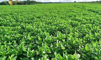 Imagem 3: Fazenda em Canarana à venda, m² por R$ 147.527.520 - Zona Rural - Canarana/MT