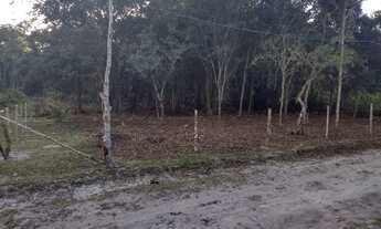 Imagem 5: Terreno para chácara