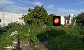 Imagem 4: Área Comercial de 8.000 m² na RS 20 na Parada 96 de barbada!!!!!