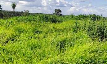 Imagem: Fazenda no Vale do Araguaia-TO