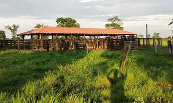 Imagem: Fazenda aberta à venda, 1.450 Hectares