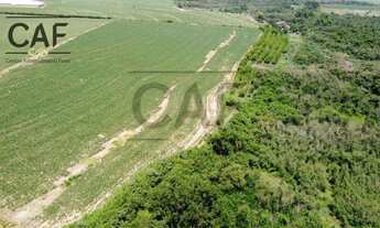 Imagem 5: Sítio à venda, 20000 m² por R$ 700.000 - Palmeirinha - Holambra/SP